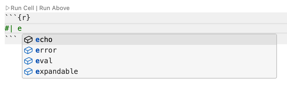 Positron Editor with a code cell option comment. The user has typed `#| ` followed by `e` and the code completion menu is open, showing available options including `echo`, `error`, `eval` and `expandable`.